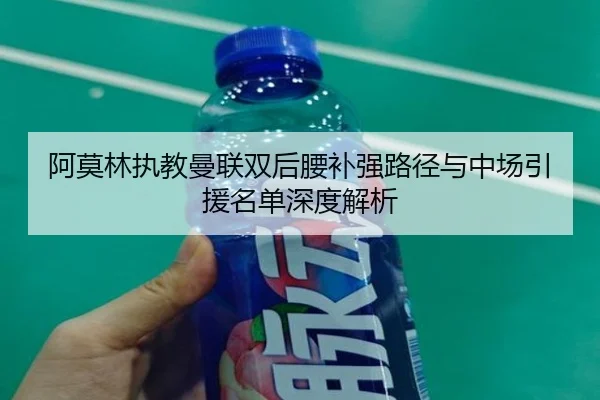 阿莫林执教曼联双后腰补强路径与中场引援名单深度解析