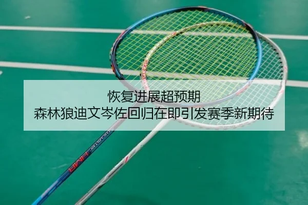 恢复进展超预期 森林狼迪文岑佐回归在即引发赛季新期待